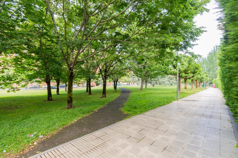 Foto 49ef145a-1b2a-40e0-b75b-54d8571d3b8c. Lloguer pis amb aparcament a San Juan Pamplona / Iruña