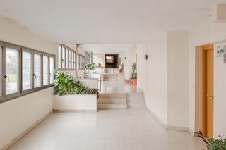 Pis a Irurtzun - calle herria 16. Irurzun. dúplex de 90 m2 útiles, muy luminoso. orientación este.