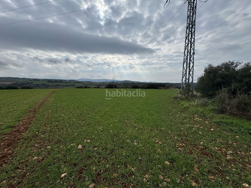 Foto fa13157d-25b9-405f-8021-548689213840. Finca rústica en Garínoain - camino de lepuzain 22 se vende parcela ndustrial en garinoain en Garínoain
