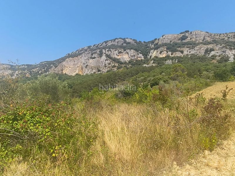Foto d2c57ca5-e8fb-4ceb-965d-774d62e01471. Finca rústica a Etxauri - finca 2365 a Etxauri