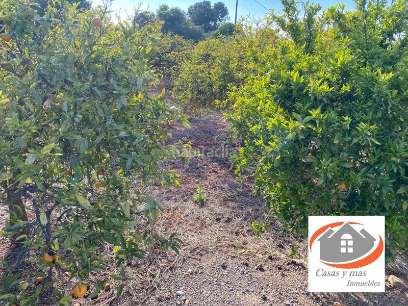 Foto 525f0dbc-b674-4324-92a3-ee2273774aab. Finca rústica a Madrigal Villarreal / Vila - real