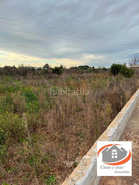 Foto 16762d3d-7f06-48d1-8c61-2cc87606881b. Finca rústica finca rustica de 17 hanegadas en Madrigal Villarreal / Vila - real