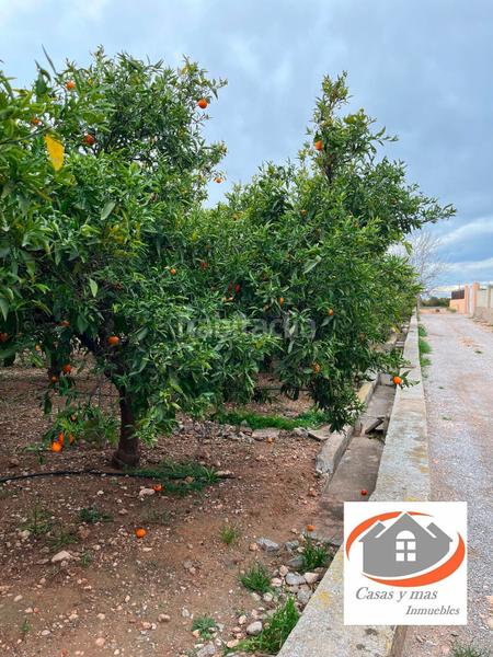 Foto 1b7762c6-1337-42c5-a319-2a17e7996de4. Finca rústica finca rustica de 17 hanegadas en Madrigal Villarreal / Vila - real