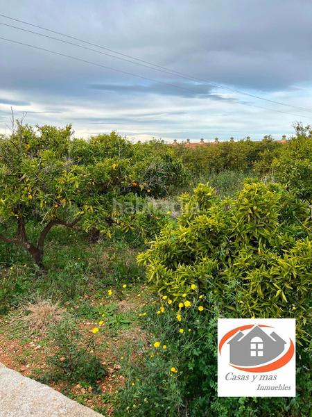 Foto 31c44a61-3fed-4bef-a636-4651b5f56591. Finca rústica finca rustica de 17 hanegadas en Madrigal Villarreal / Vila - real