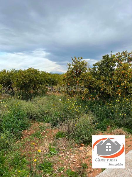 Foto 8020811b-1351-4ada-aa46-9e0e69c0b0a0. Finca rústica finca rustica de 17 hanegadas en Madrigal Villarreal / Vila - real