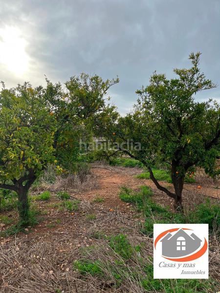 Foto c42a93ad-e3a3-48ab-9b8a-e93e7bc106c5. Finca rústica finca rustica de 17 hanegadas en Madrigal Villarreal / Vila - real