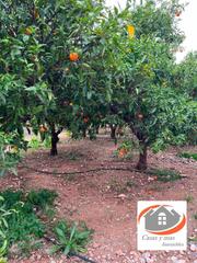 Finca rústica  Moli de llop. Finca rustica de 24 hanegadas