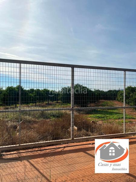 Foto 1ec95e0e-957b-4dcd-ae8f-657f11ec967b. Fondo rustico in Avenida Alemania-Italia Villarreal / Vila - real