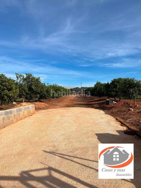 Foto 2f9eb0d1-a084-4ae0-b988-633632b28137. Fondo rustico in Avenida Alemania-Italia Villarreal / Vila - real