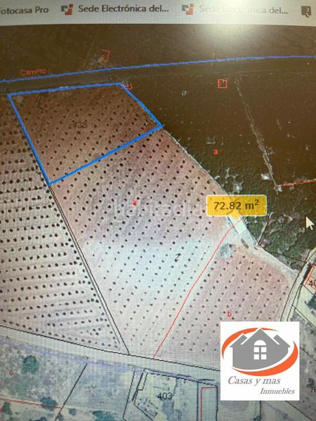 Foto 374195ad-b595-482c-8c46-e2cd8144062a. Fondo rustico in Avenida Alemania-Italia Villarreal / Vila - real