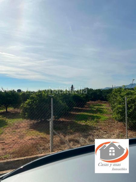 Foto aef30b1e-a908-4d8d-9919-a2ecf47a8f13. Fondo rustico in Avenida Alemania-Italia Villarreal / Vila - real