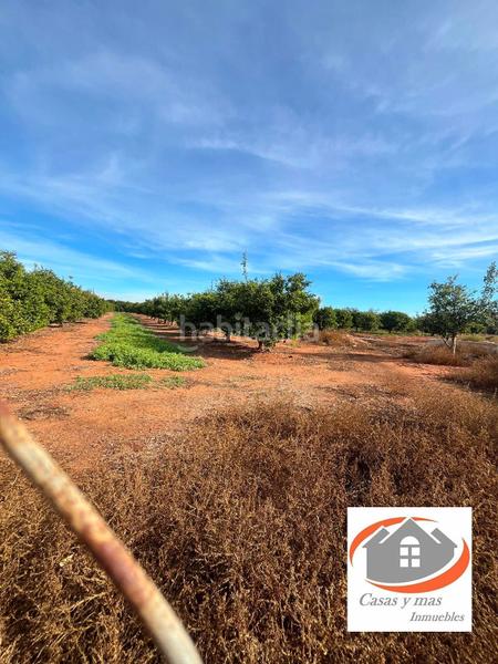 Foto b80d17a7-1d64-45f1-9f67-851e0cf54031. Fondo rustico in Avenida Alemania-Italia Villarreal / Vila - real