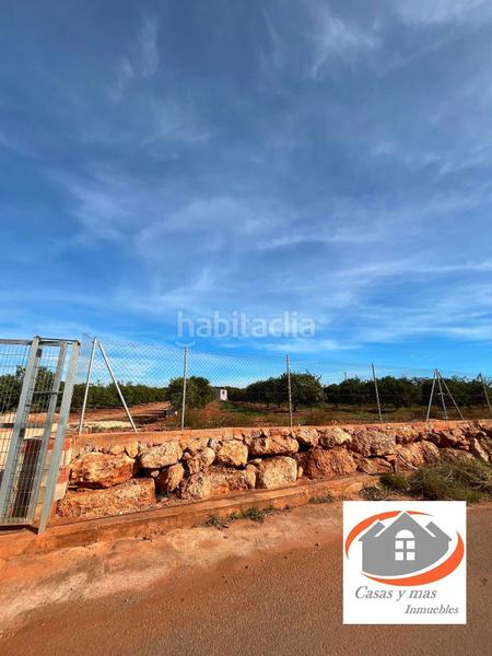 Foto f5008991-1347-4d8b-a920-8301a6761302. Fondo rustico in Avenida Alemania-Italia Villarreal / Vila - real