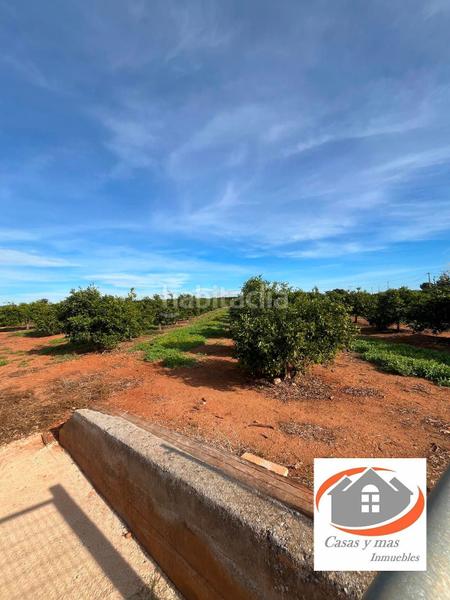 Foto fb780463-b822-45c7-bb2e-349892e744fa. Fondo rustico in Avenida Alemania-Italia Villarreal / Vila - real