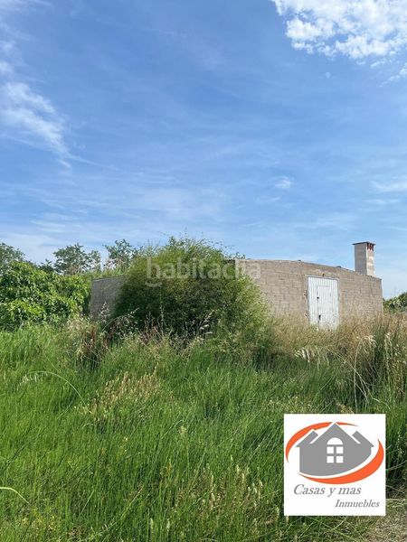 Foto f07a6e4b-2081-470e-b940-4ac4f78e220d. Finca rústica a Nules