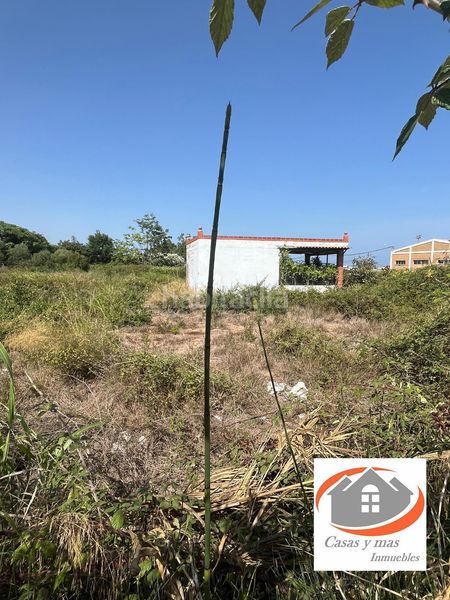 Foto 4dc603fb-22ca-42b6-b896-ed59222131ad. Finca rústica a Llombai Burriana