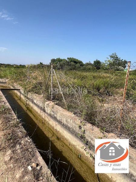 Foto f3dfdb49-f745-43b6-a7e8-f5d31826f7bb. Finca rústica a Llombai Burriana