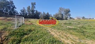 Terreno residenziale  Polígono 10 parcela 320 puñanilla