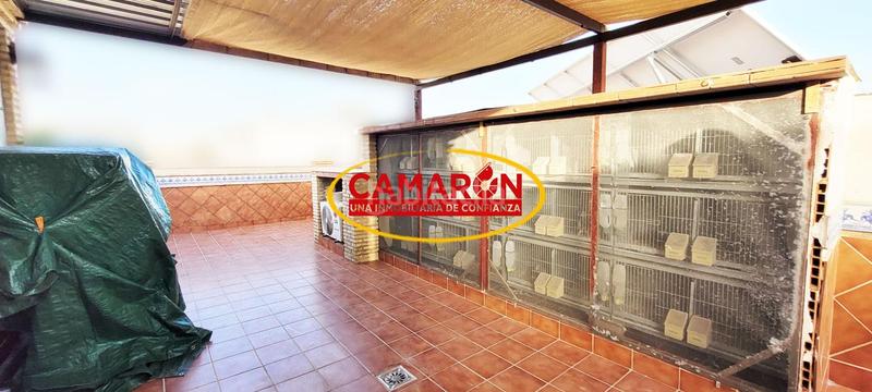 Foto 2ece9e8d-7ffd-47e2-80e7-a406f28ff9af. Haus in Coria del Río