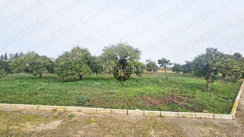 Foto 483e0a32-f0c6-4595-8e80-d9b674e98304. Masía en Puebla del Río (La)