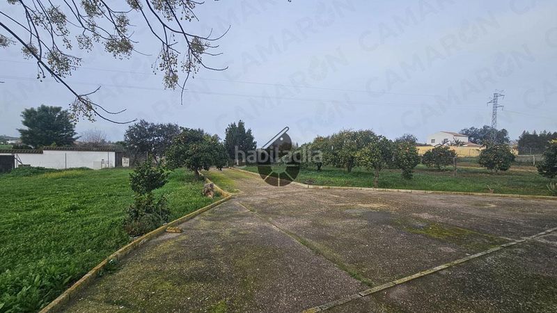 Foto 64576b4c-f3e4-44b4-ab16-a54e46328da3. Masía en Puebla del Río (La)