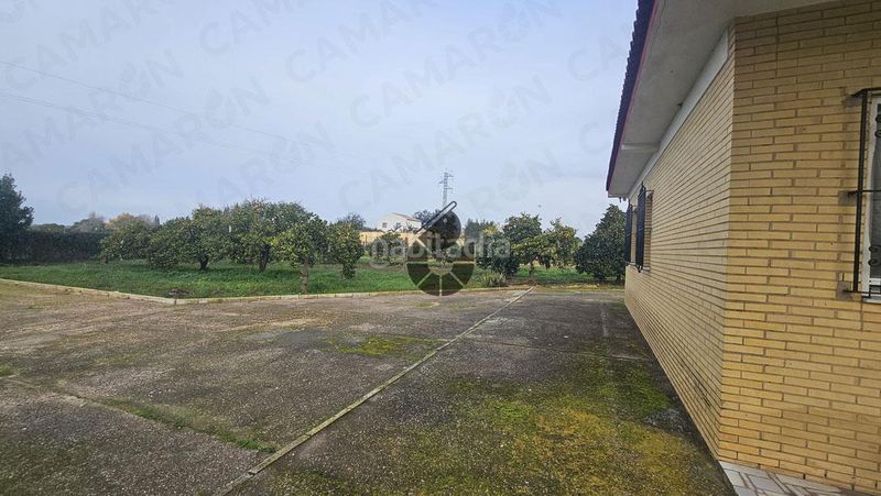 Foto b5cd0388-e611-4a2d-8afd-4b71e7dfff45. Masía en Puebla del Río (La)