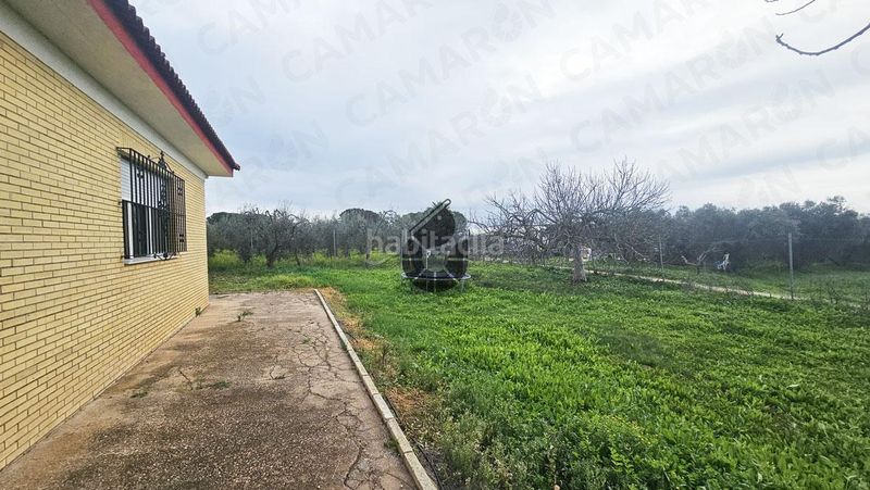 Foto b6d2af48-cf94-42c9-85c8-2b4da3902253. Masía en Puebla del Río (La)