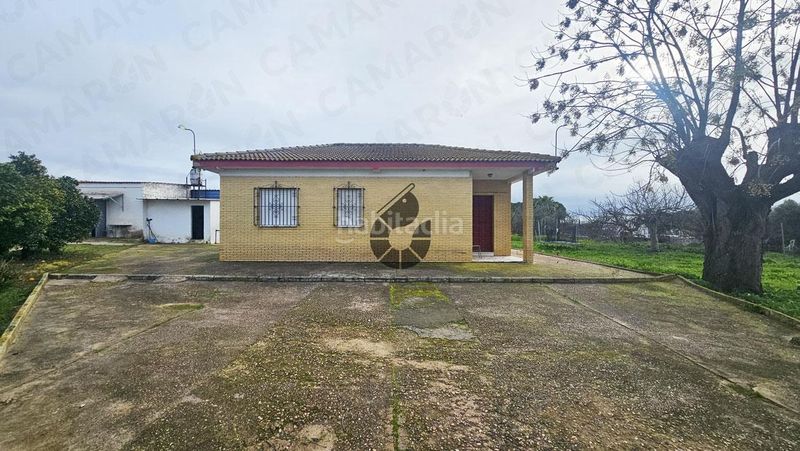 Foto e3e7cbb6-76e8-430a-87c2-a573e0636b82. Masía en Puebla del Río (La)