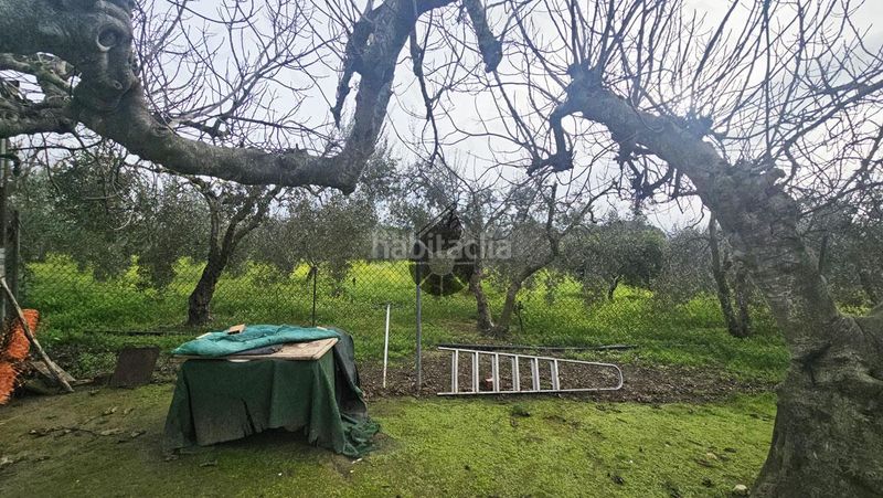Foto e9d9fa79-0e3d-4053-bd54-0edb86efdcb8. Masía en Puebla del Río (La)