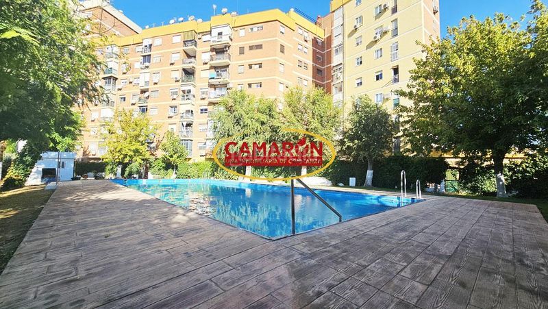 Foto 0a282b53-741e-4563-83b5-4f8af1c625eb. Planta baixa amb piscina a Sta. Aurelia - Cantábrico - Atlàntico - La Romería Sevilla
