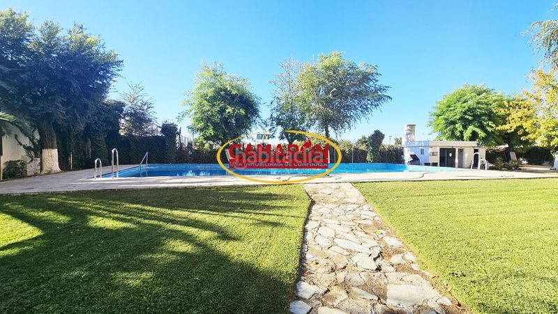 Foto 23e67534-0b56-41e0-800d-b6a91ffa440c. Planta baixa amb piscina a Sta. Aurelia - Cantábrico - Atlàntico - La Romería Sevilla