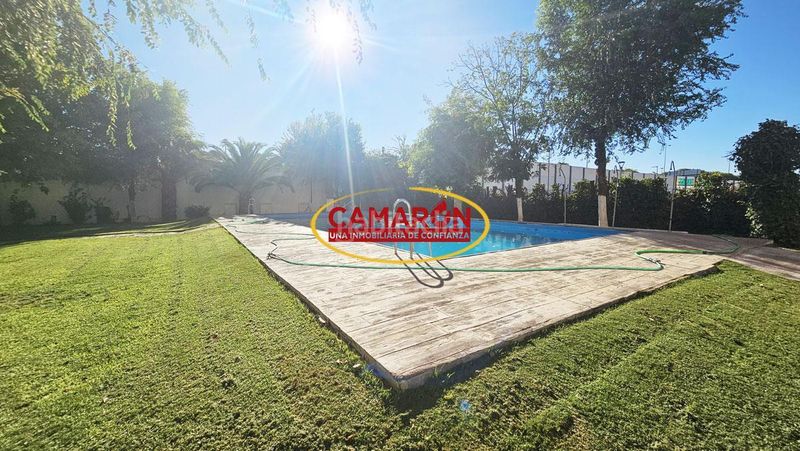 Foto 9508a98e-cb23-4e93-b17e-75a769f6f0c2. Planta baixa amb piscina a Sta. Aurelia - Cantábrico - Atlàntico - La Romería Sevilla