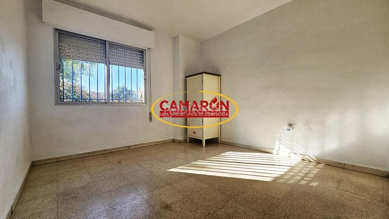 Foto b3b6f9e3-d76e-44ce-a19e-01fcc5c9fc8b. Planta baixa amb piscina a Sta. Aurelia - Cantábrico - Atlàntico - La Romería Sevilla