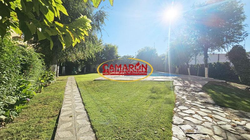 Foto ba5dc289-71b2-4c34-90ea-fc235eb85c35. Planta baixa amb piscina a Sta. Aurelia - Cantábrico - Atlàntico - La Romería Sevilla