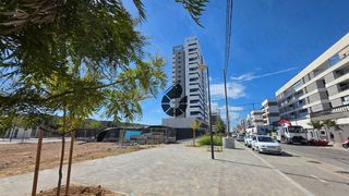 Rent Flat in Palmas Altas