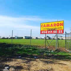 Terrain résidentiel à Avenida Almensilla