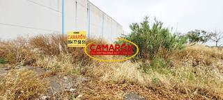 Terreno residenziale in Palomares del Río