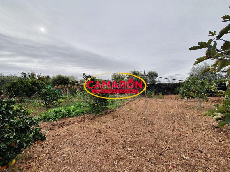 Foto 40d21187-a8ab-4054-b765-134b44a2ec57. Masía en Puebla del Río (La)