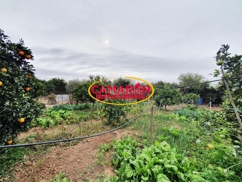 Foto 534cd2be-7403-4217-9b1f-b0c3095debe8. Masía en Puebla del Río (La)