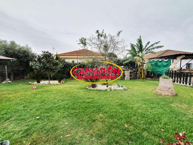 Foto b299344e-0d42-400e-bb1e-fbf2d2929e73. Masía en Puebla del Río (La)