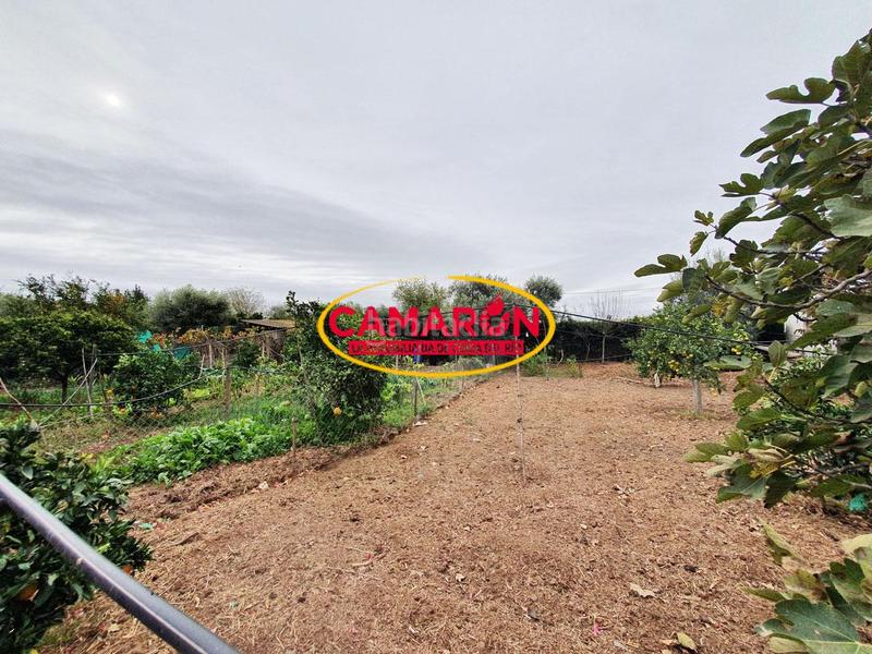 Foto bbdf8898-1a7d-46ba-88c5-889698846cdb. Masía en Puebla del Río (La)