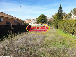 Terreny residencial a Coria del Río