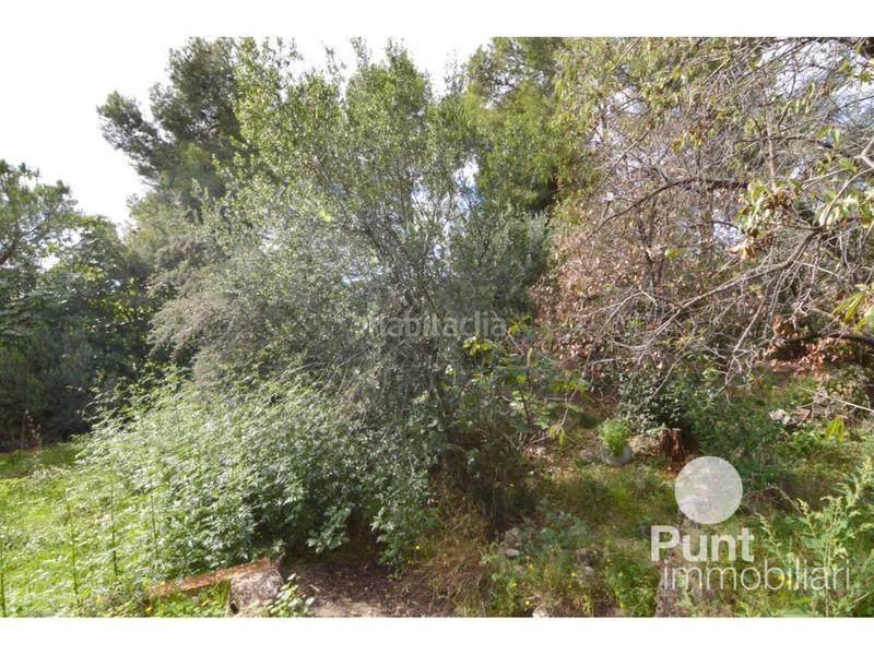 Foto bc2bb7b2-4d62-466d-b05c-8f67d9c24b67. Finca rústica a Pallejà