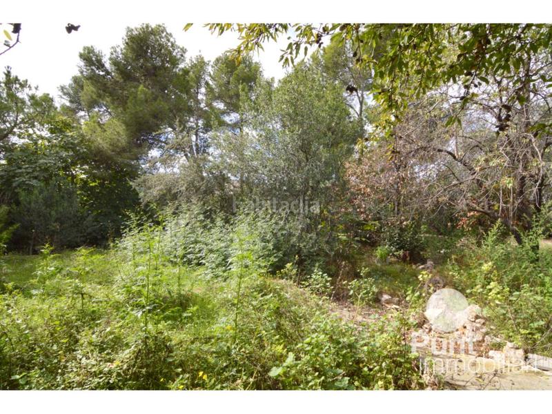 Foto fb3e47d1-4c48-4272-91ae-2d9753149f83. Finca rústica a Pallejà