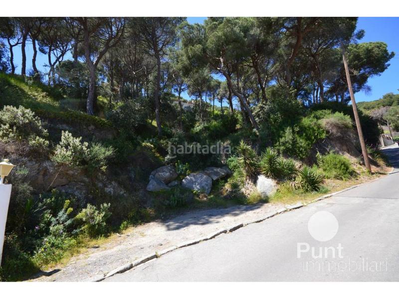 Foto 2a2158da-f3ff-4ef7-890b-83abb3b0e76f. Terreny residencial a Premià de Dalt