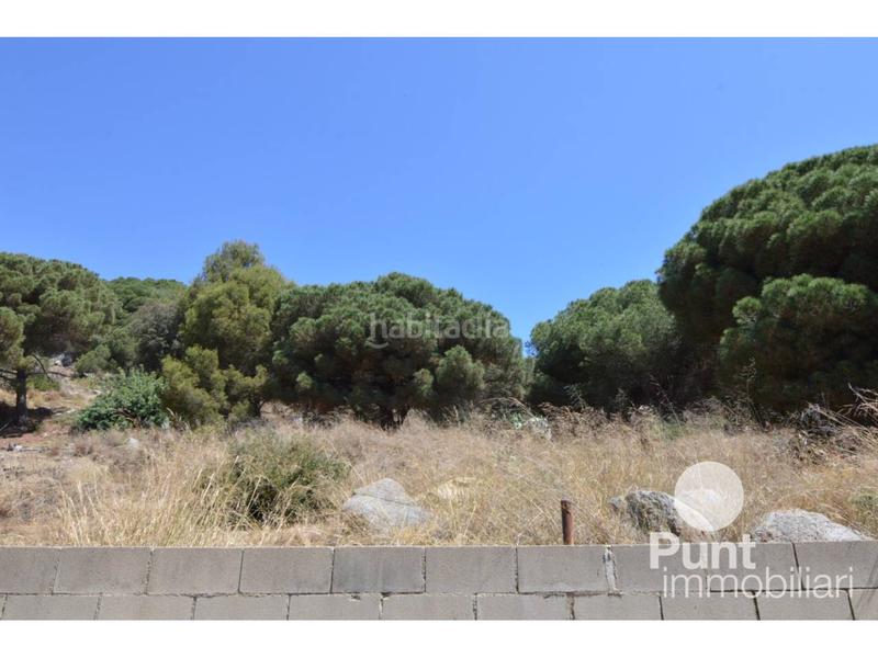 Foto 0e10d32a-685a-4c01-b87a-e7e10d0af558. Solar industrial a Premià de Dalt