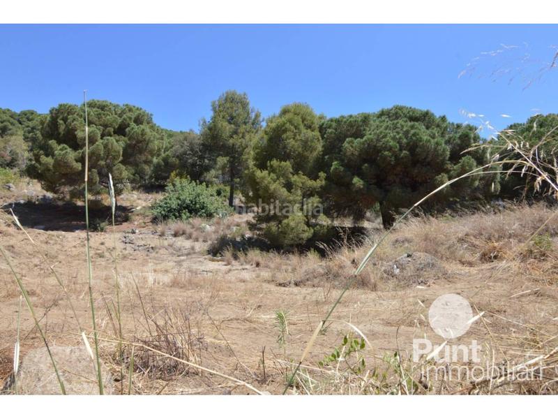 Foto 49375de1-c0bc-449c-9881-e68dc412e993. Solar industrial a Premià de Dalt