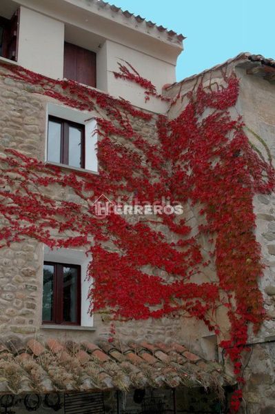 Foto 9e2d321f-836b-4987-99d2-f5038eadbdd6. Haus mit heizung in Ocón