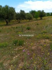 Masia  Valverde. Finca en venta en lardero.