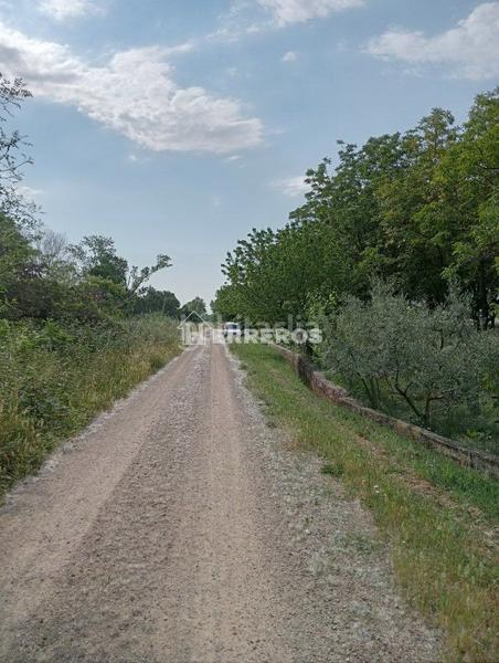 Foto 5abae4a0-5487-4f2c-8a00-5374e80e09f5. Masia a Arrúbal